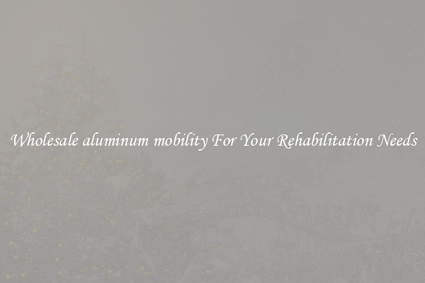 Wholesale aluminum mobility For Your Rehabilitation Needs