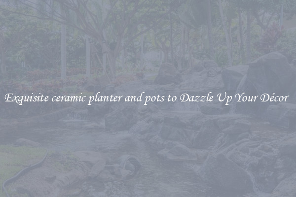 Exquisite ceramic planter and pots to Dazzle Up Your Décor  