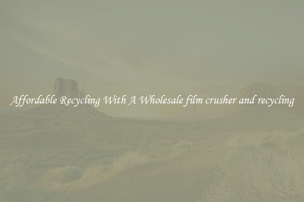 Affordable Recycling With A Wholesale film crusher and recycling