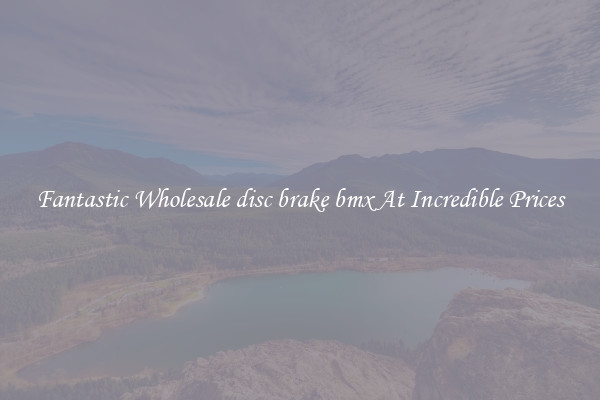 Fantastic Wholesale disc brake bmx At Incredible Prices