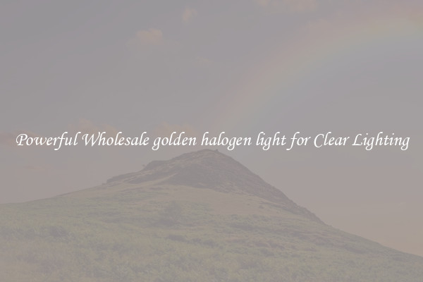 Powerful Wholesale golden halogen light for Clear Lighting