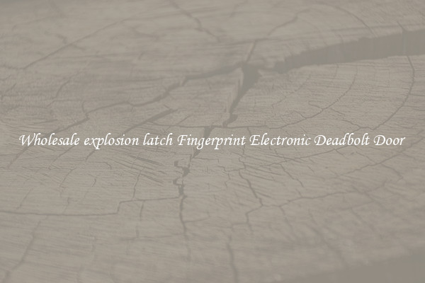 Wholesale explosion latch Fingerprint Electronic Deadbolt Door 
