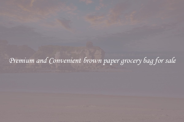 Premium and Convenient brown paper grocery bag for sale