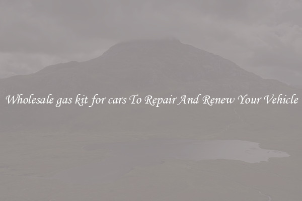 Wholesale gas kit for cars To Repair And Renew Your Vehicle
