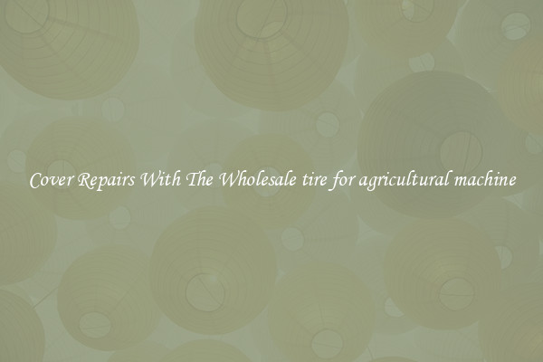  Cover Repairs With The Wholesale tire for agricultural machine 