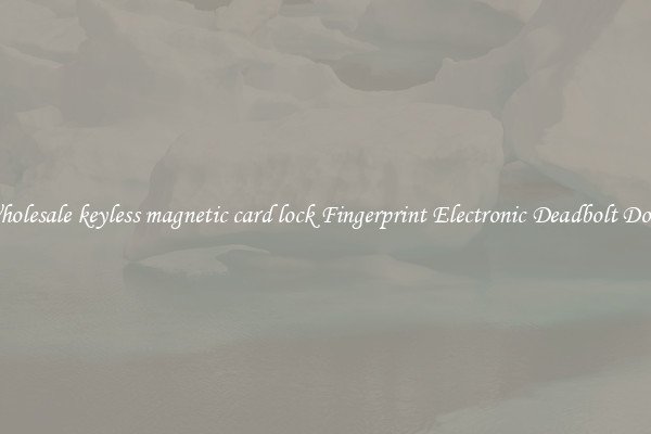 Wholesale keyless magnetic card lock Fingerprint Electronic Deadbolt Door 