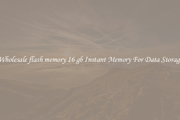 Wholesale flash memory 16 gb Instant Memory For Data Storage