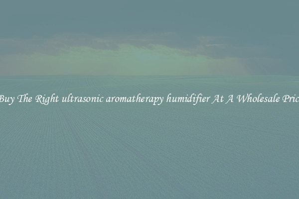 Buy The Right ultrasonic aromatherapy humidifier At A Wholesale Price