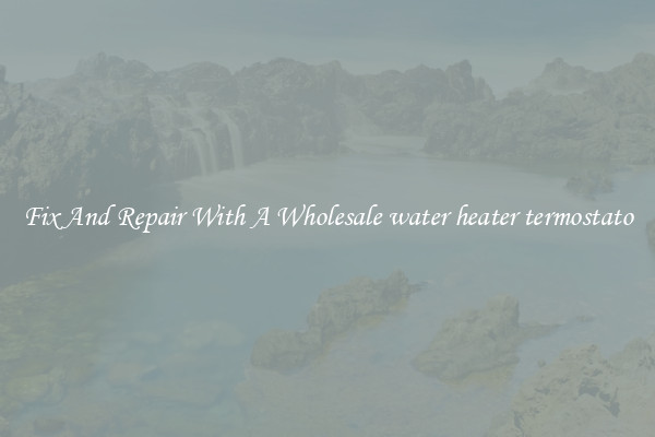 Fix And Repair With A Wholesale water heater termostato