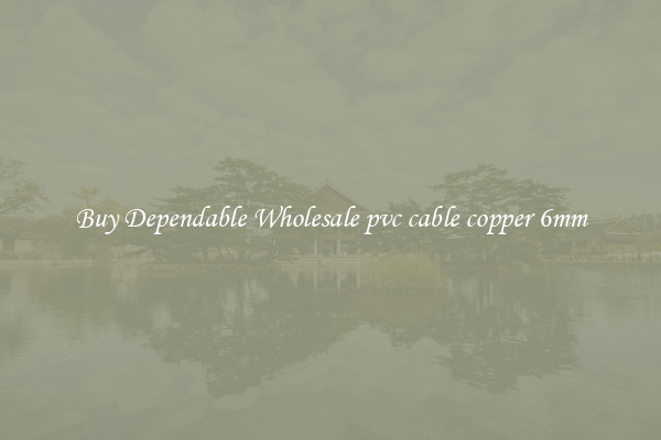 Buy Dependable Wholesale pvc cable copper 6mm