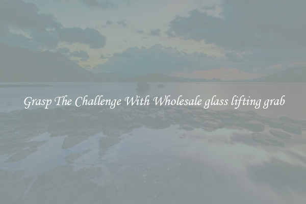 Grasp The Challenge With Wholesale glass lifting grab