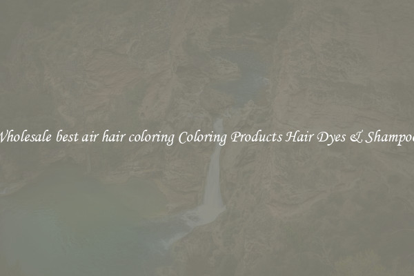 Wholesale best air hair coloring Coloring Products Hair Dyes & Shampoos