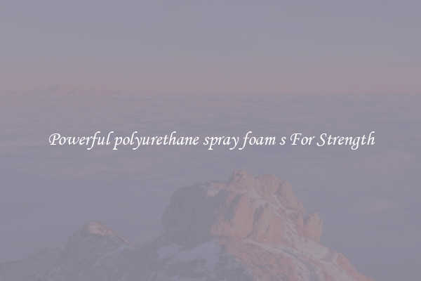 Powerful polyurethane spray foam s For Strength