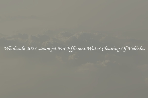Wholesale 2023 steam jet For Efficient Water Cleaning Of Vehicles