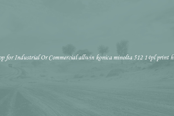 Shop for Industrial Or Commercial allwin konica minolta 512 14pl print head